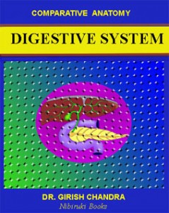 Web-Dig.Syst.Cover